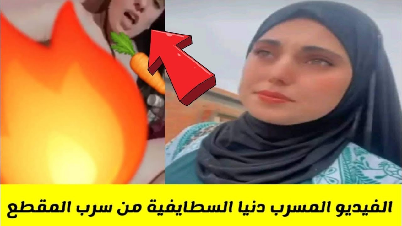 افلام نيك دنيا سطايفية